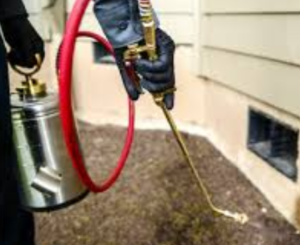 fumigation service