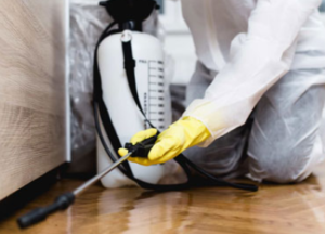 pest control