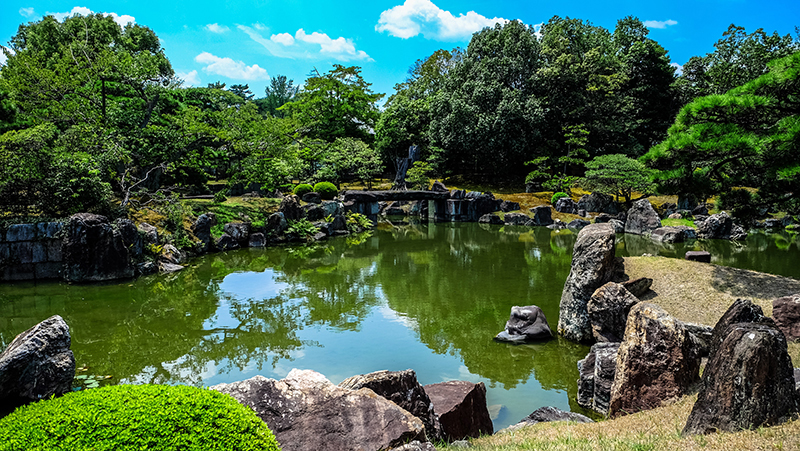 pond